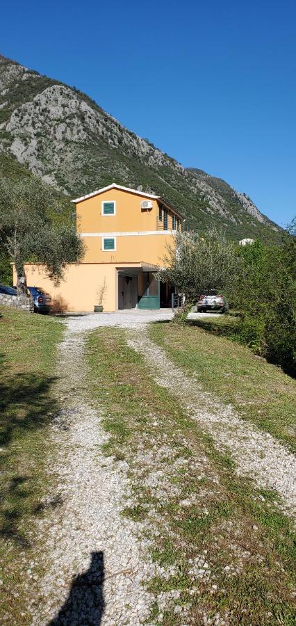 Apartman Barbara Kotor Exterior photo