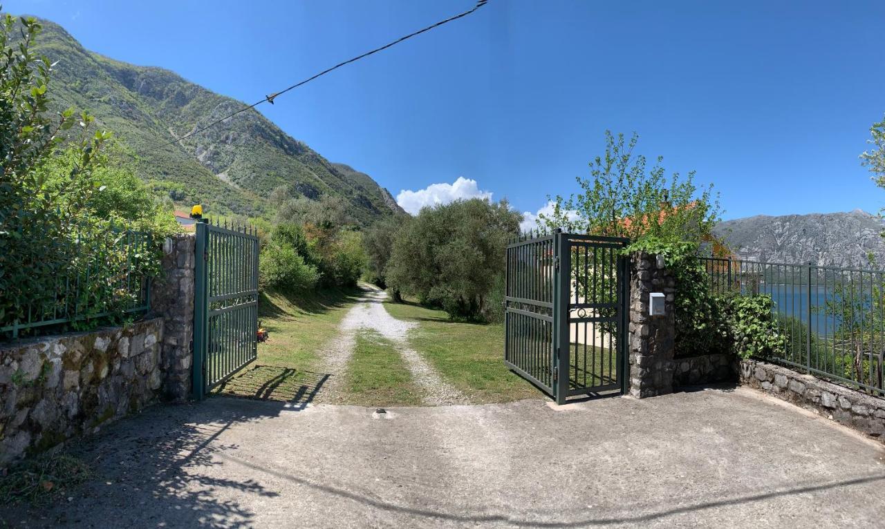 Apartman Barbara Kotor Exterior photo