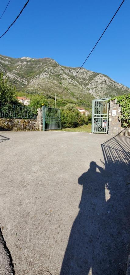 Apartman Barbara Kotor Exterior photo